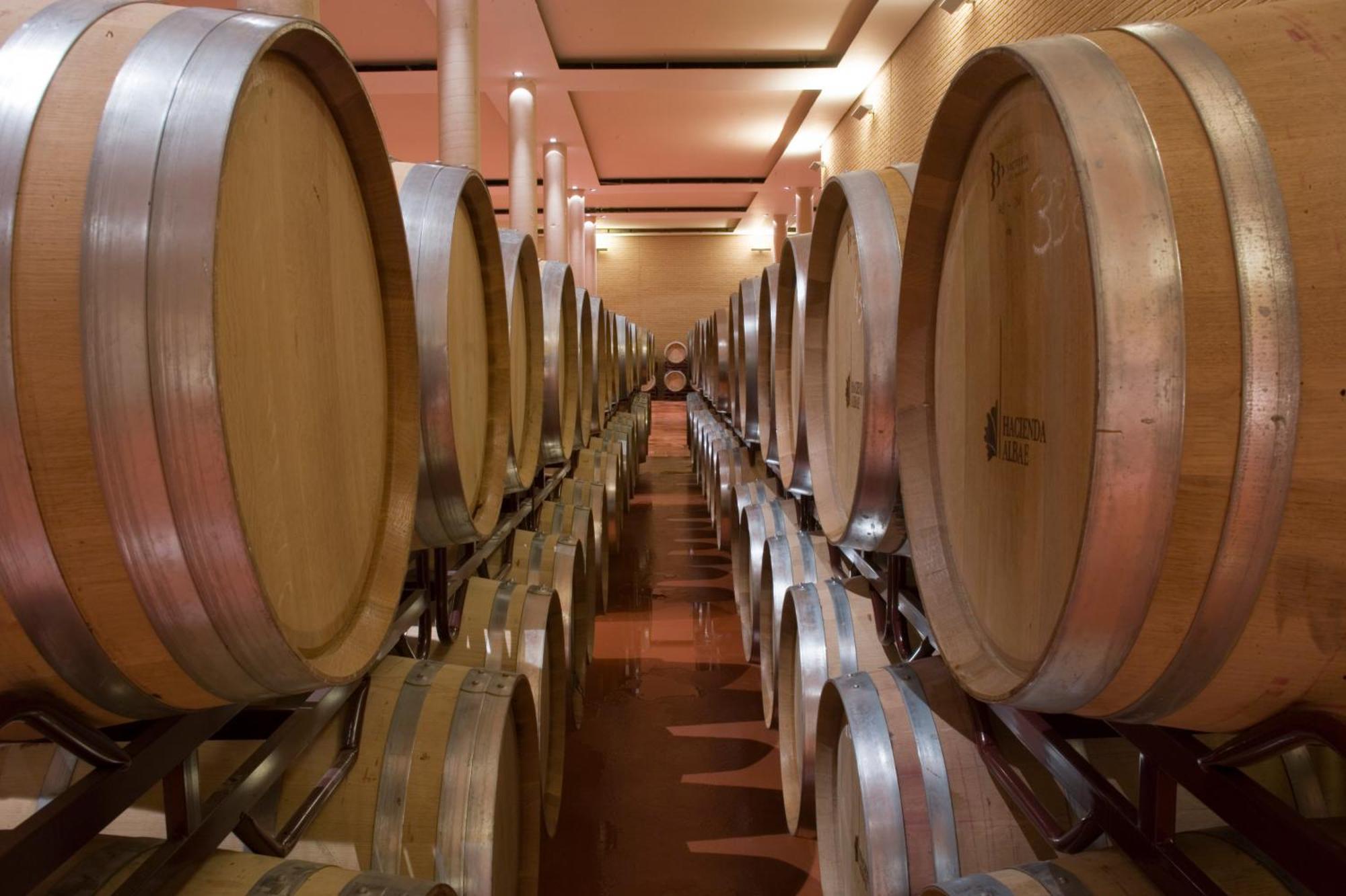 Bodegas Hacienda Albae Guest House Argamasilla De Alba ภายนอก รูปภาพ